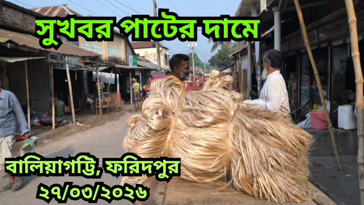 সুখবর পা&zwnj;টের দা&zwnj;মে | Jute Price Today | pater bazar| Faridpur.