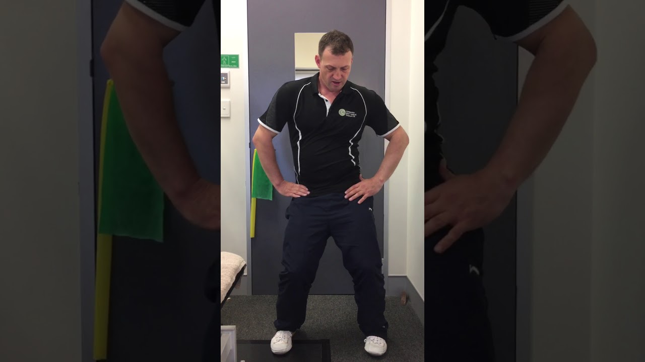 TaiChi Hip Circles for Pelvic Ligaments #ligament #muscle #fix #exercise #healthy #howto#taichi#move