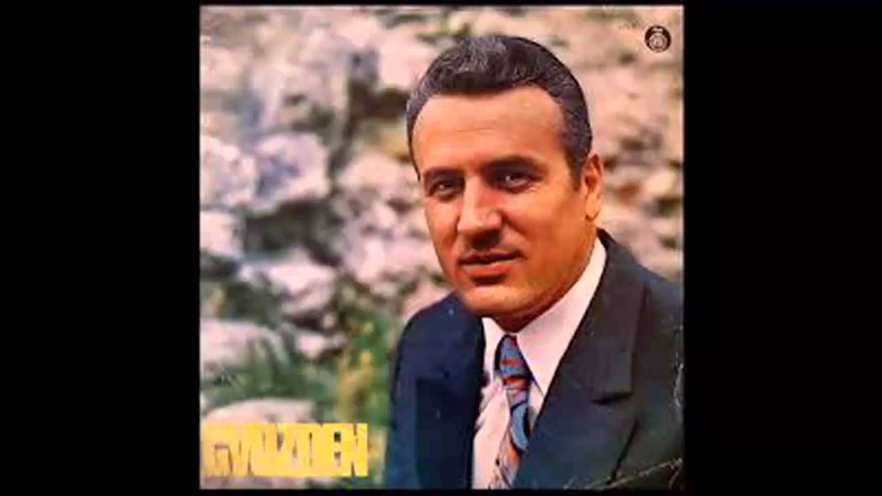 Gvozden Radicevic - Pij draga nocas iz moje case - (Audio 1972) HD