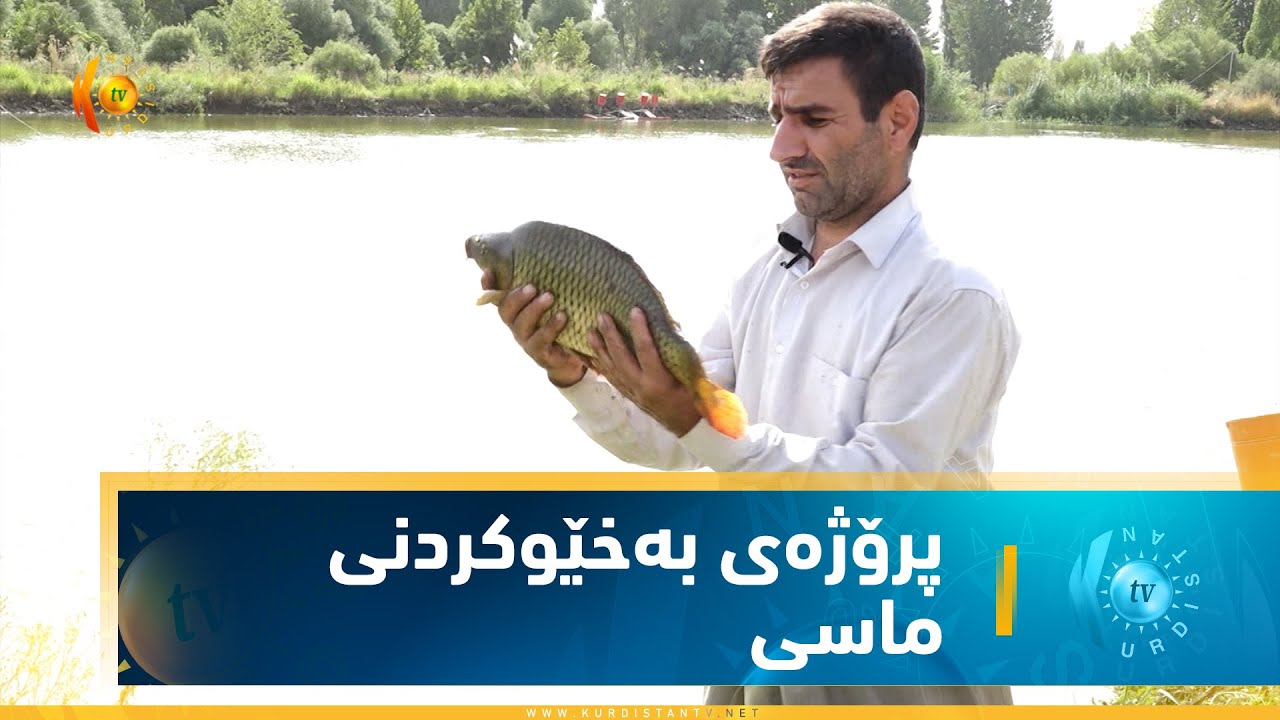 پرۆژەی بەخێوكردنی ماسی