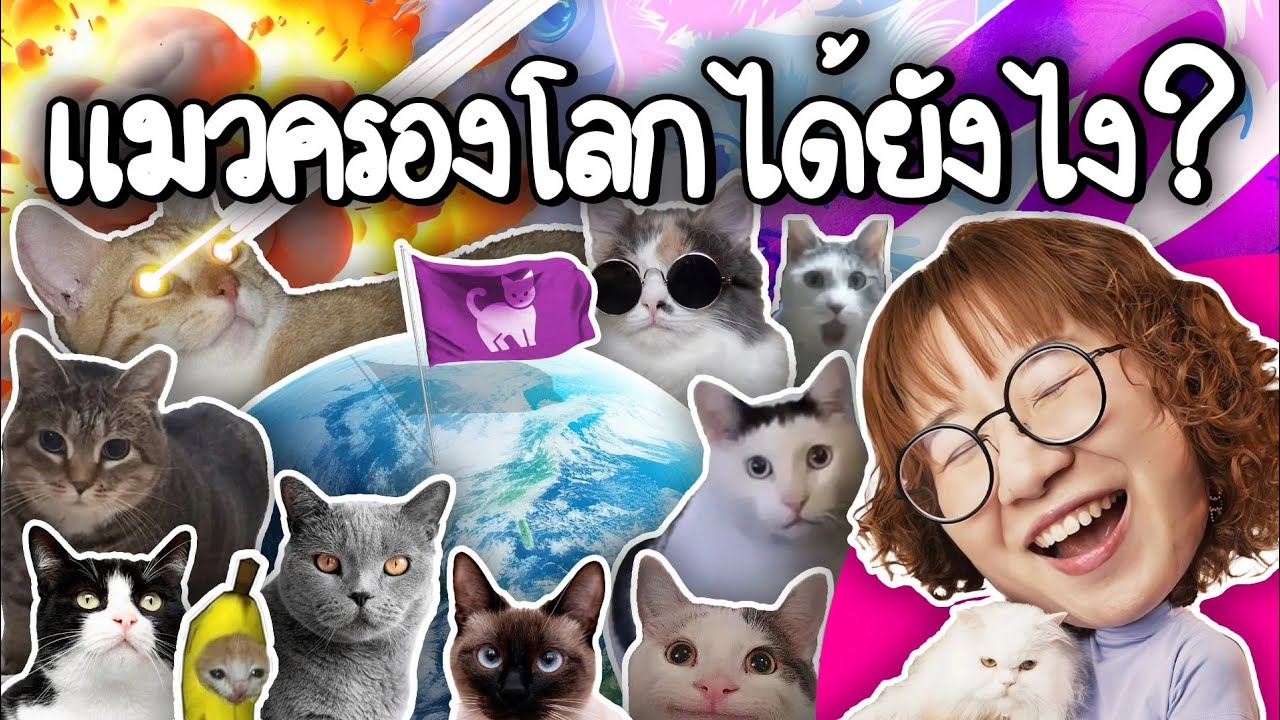 Как кошки захватили мир? | Point of View x Whiskas