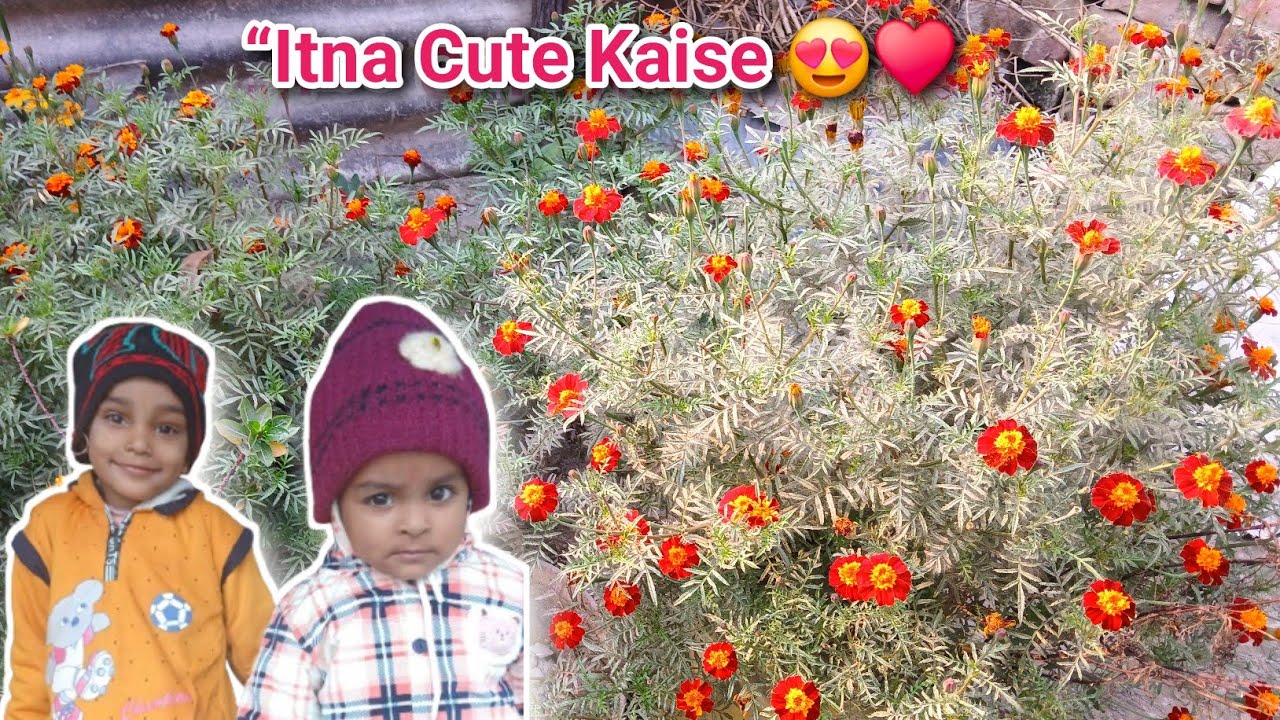 Aaj Bachon ke saath Garden Gaye 🌼 | Family Vlog 😍😍 || AYUSH KUMAR GUPTA VLOG 