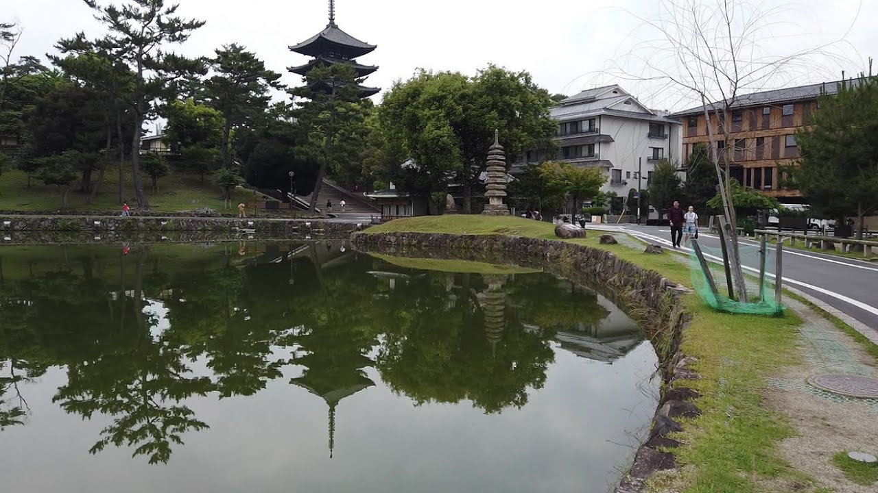 奈良・猿沢池の回りを歩く　Walk around Sarusawa Pond in Nara　(2023.6)