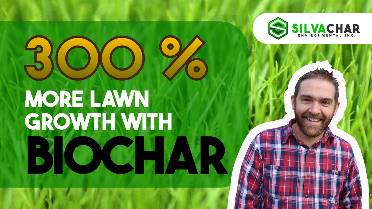 300% More Lawn Growth! The Secret Power of Biochar Revealed!