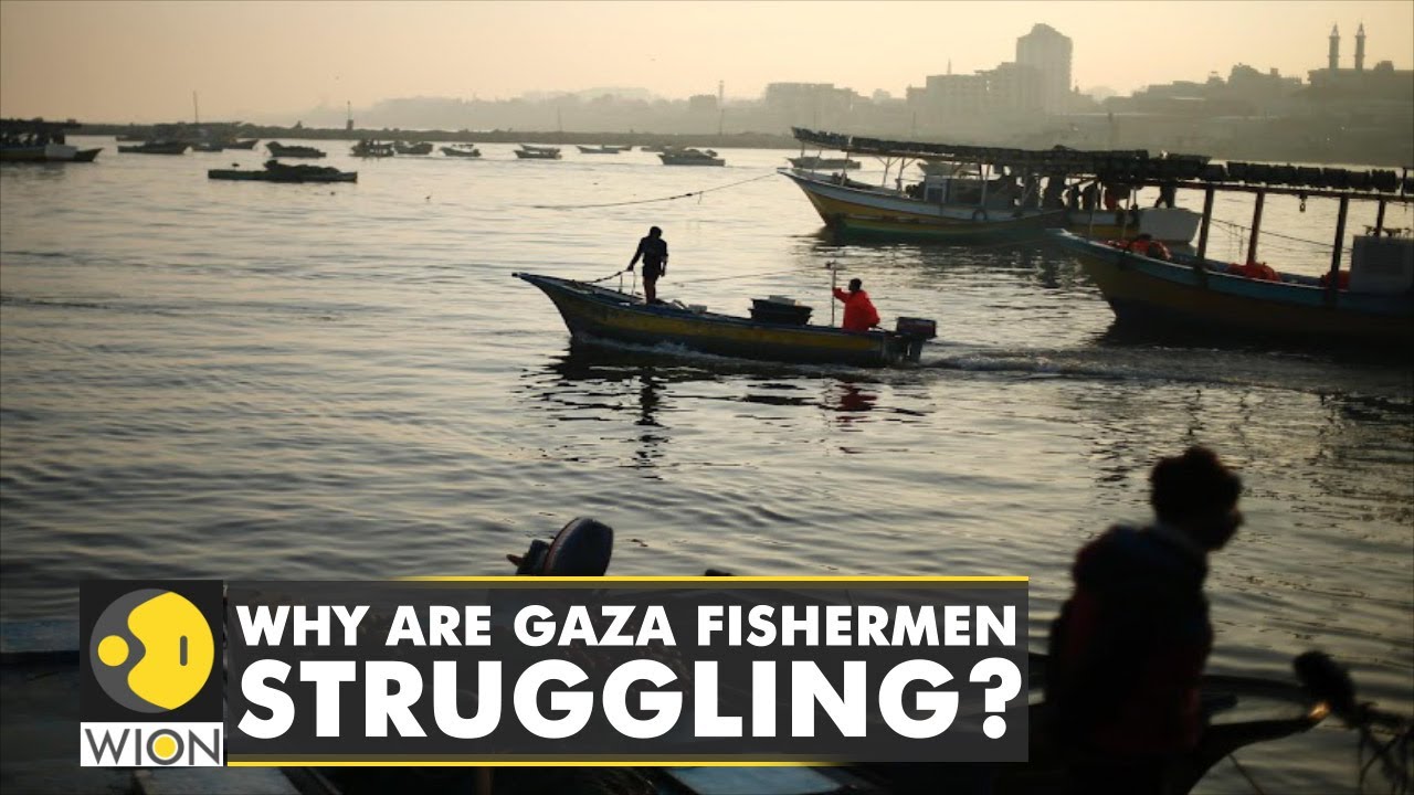 Gaza's fishermen struggle for a catch | Fishing | Gaza Fishermen | International News