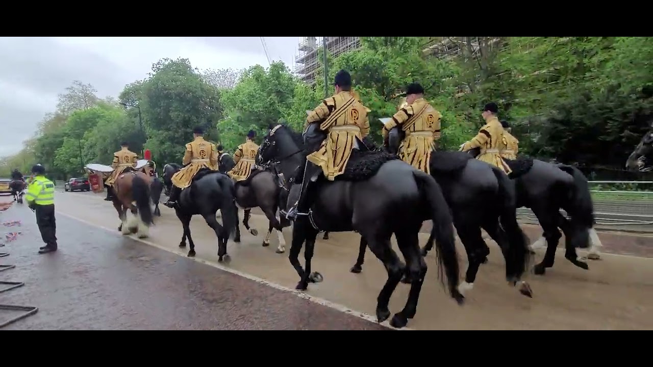 Drum Horse Major Apollo