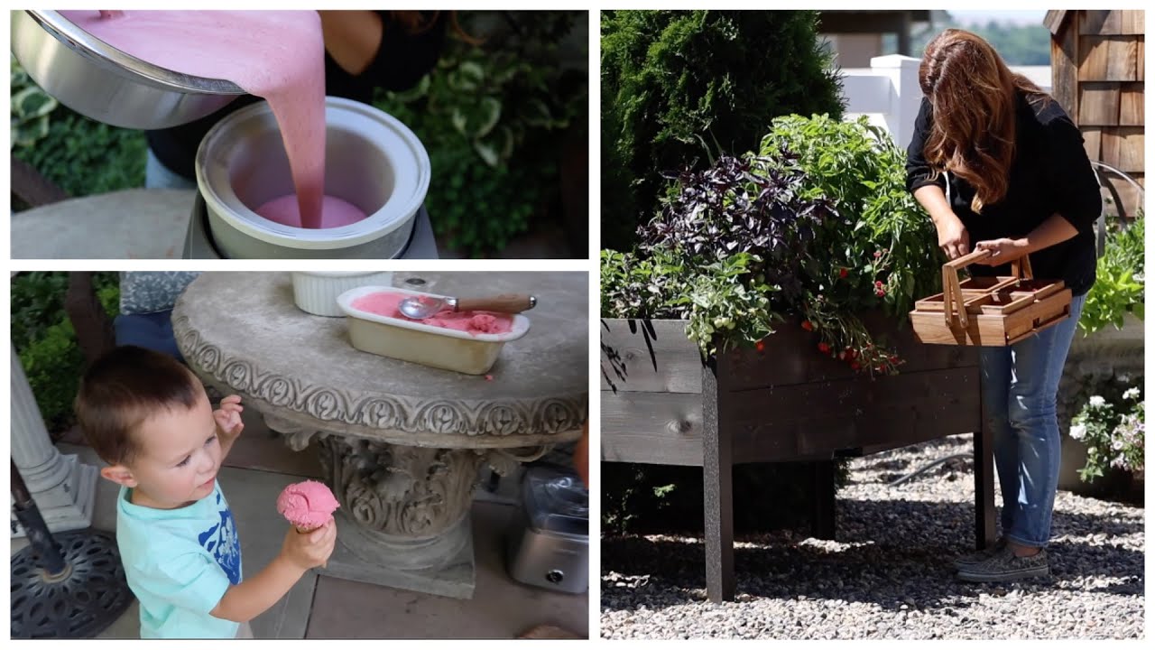 Harvesting Strawberries & Making Ice Cream! 🍓🤤🍦// Garden Answer