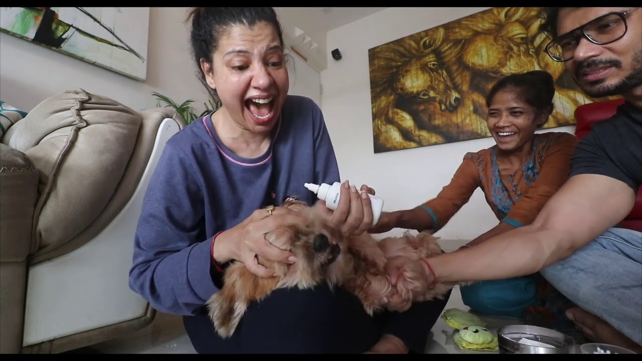 We all got BITTEN by COCO | Ss Vlogs :-)