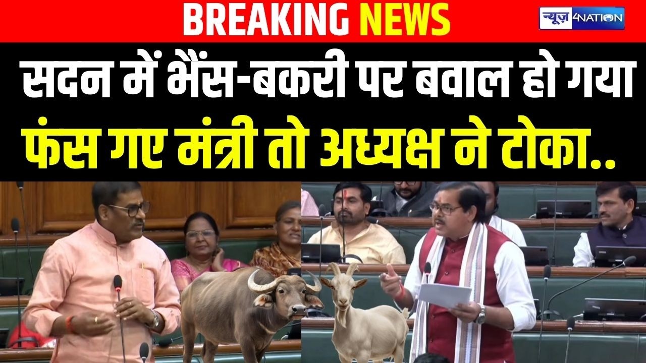 Bihar Vidhan Sabha में भैंस-बकरी पर बवाल हो गया, फंस गए मंत्री तो अध्यक्ष ने टोका.. Bihar News |