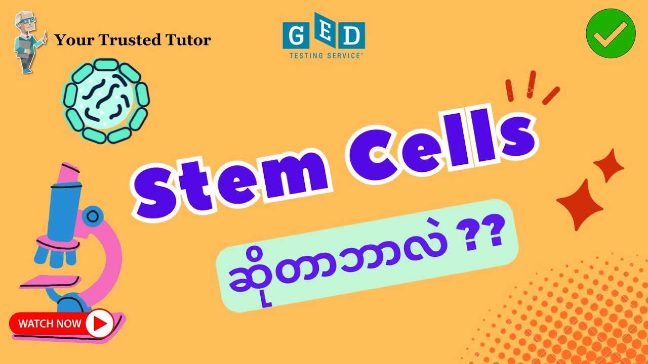 What Are Stem Cells?  Basic Knowledge for Stem Cell Experiment [Explained for GED Life Science]