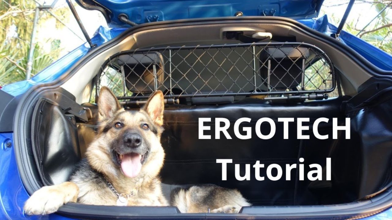 ERGOTECH Video Tutorial