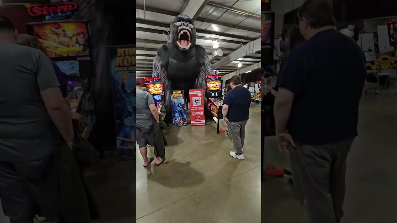 PATZ2025 walkthrough 