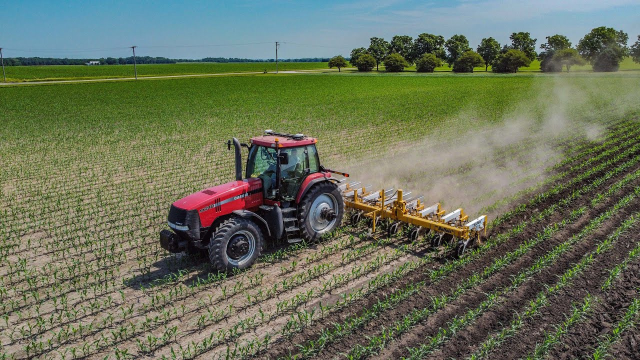 1st Pass RowCrop Cultivating Organic Corn | Illinois Farm Vlog #40