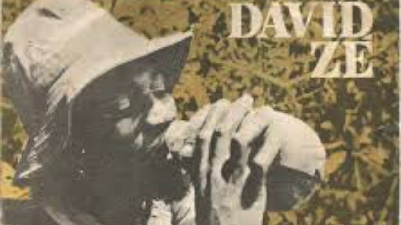 David Zé: Merengue Santo Antonio