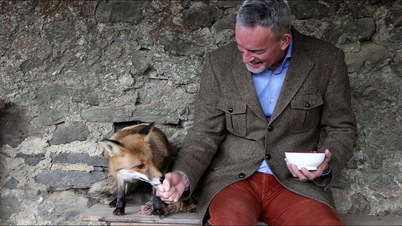 Deutscher Jagdterrier: Arbeit in der Schliefanlage