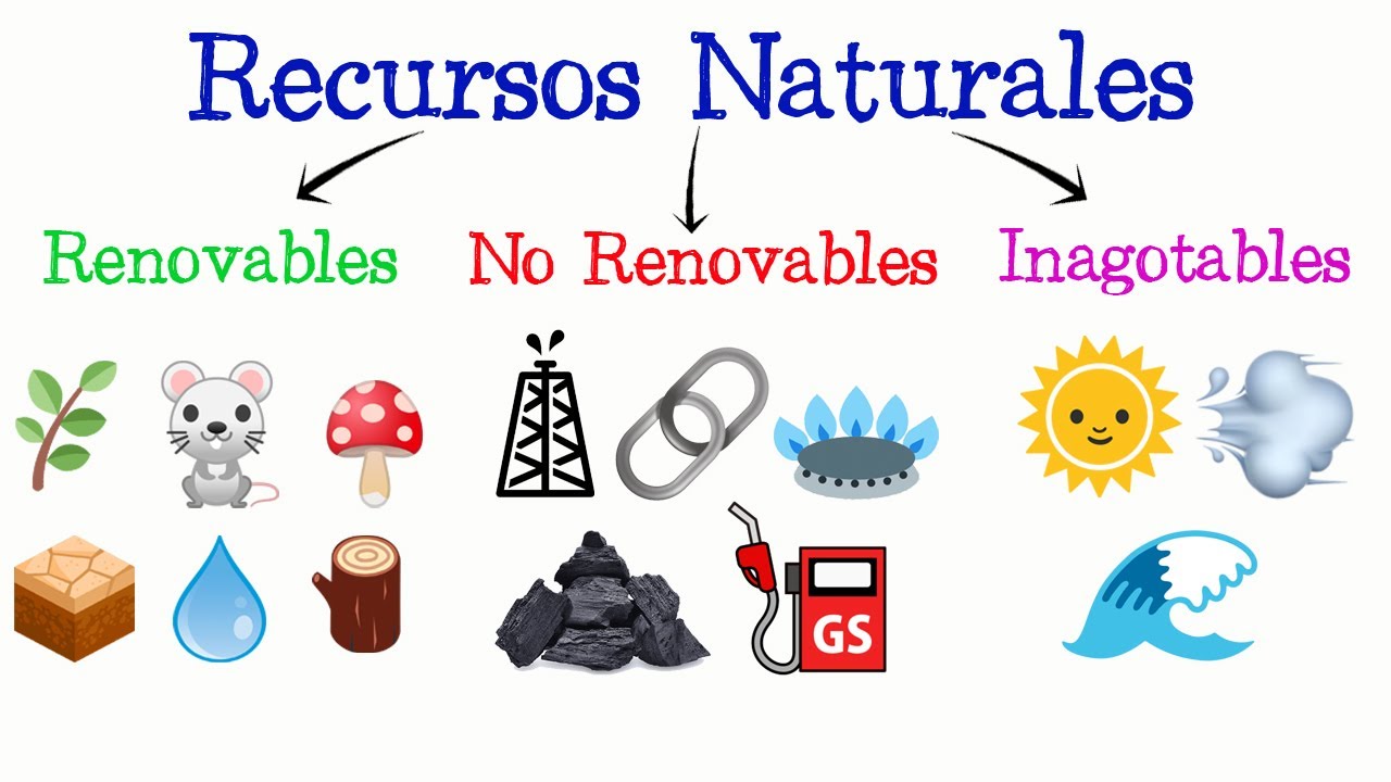 🌳Recursos Naturales: Renovables, No Renovables e Inagotables🌞 [F&aacute;cil y R&aacute;pido] | Biolog&iacute;a |
