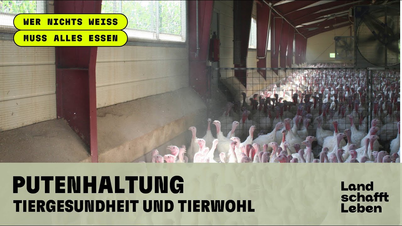 PUTE (2/5) - Haltung, Tiergesundheit und Tierwohl