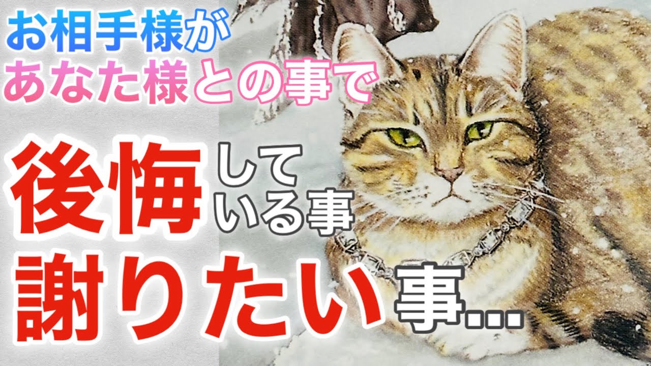 【タロット占い/恋愛】素直になれないお相手様の心の中…あなた様との事で後悔している事・謝りたい事をタロット&オラクルカードでリーディングしてみました⭐️✨