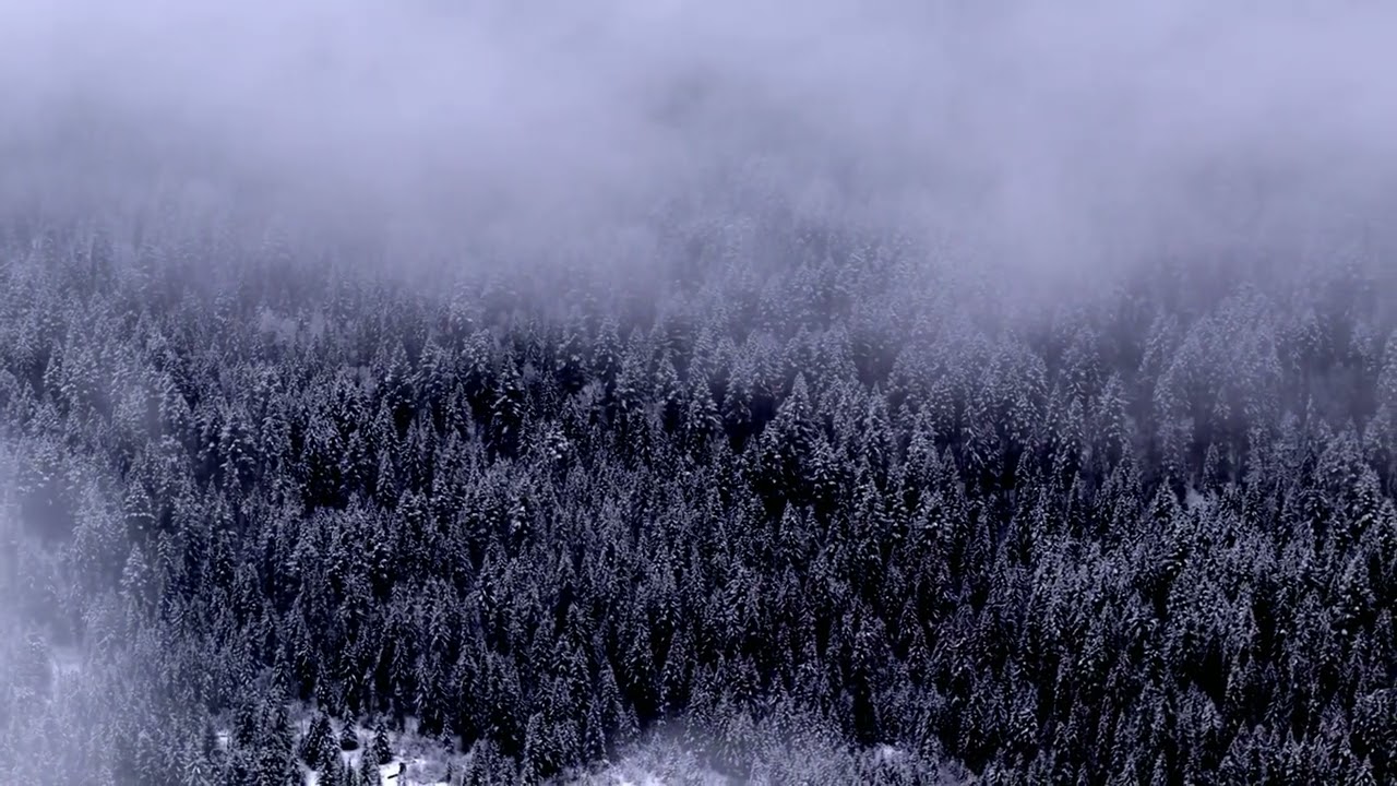 Schmiedefeld auf der Saalfelder Höhe / im Winter