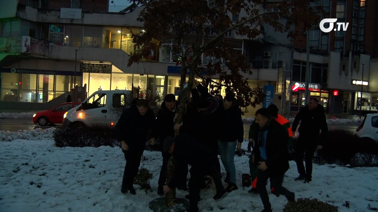 Tradicionalna seča  badnjaka održana u Volujcu uz prisustvo gradskih čelnika