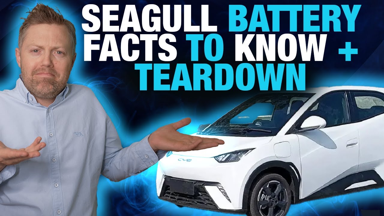 BYD Seagull &ndash; The One Thing No One&rsquo;s Telling You&hellip;