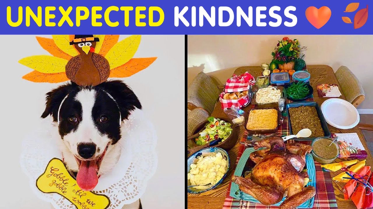 Wholesome Thanksgiving Moments: People Amazed by Unexpected Acts of Kindness 🧡🍂