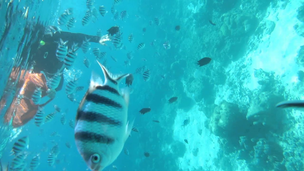 Skeleton Wreck, Coron