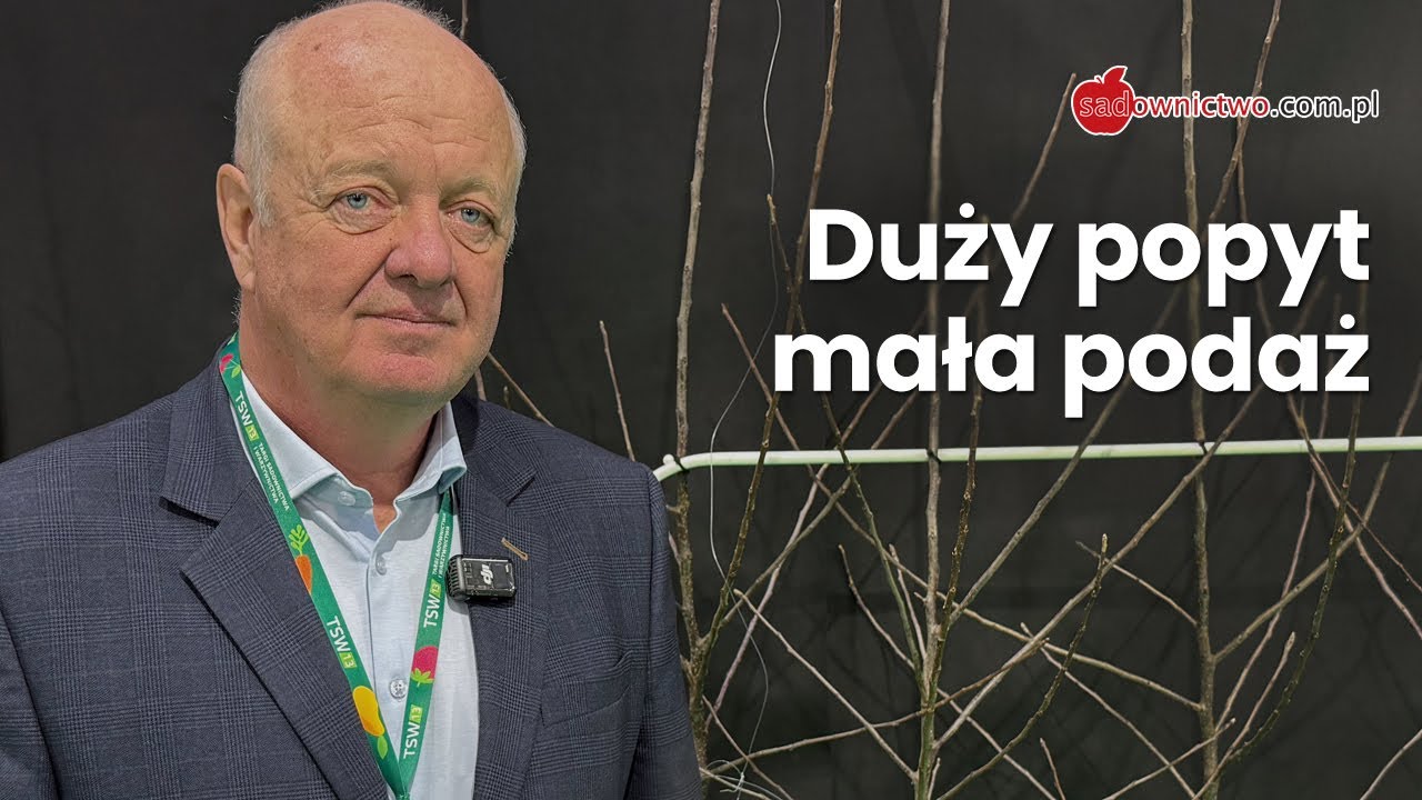 Kto kupuje drzewka I podkładka Geneva I odmiany w szkółce - Maciej Lipecki SPS