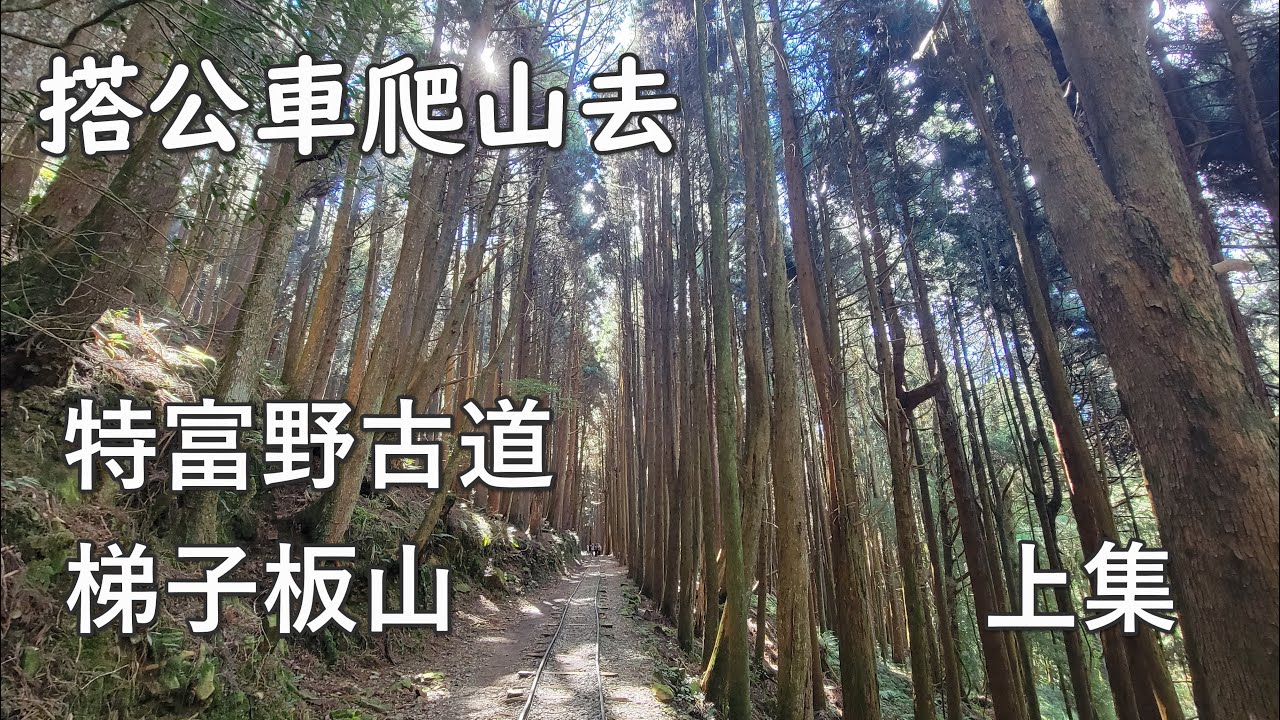 [搭公車爬山去]  特富野古道  (順遊梯子板山 拉拉喀斯巨木群) 上集