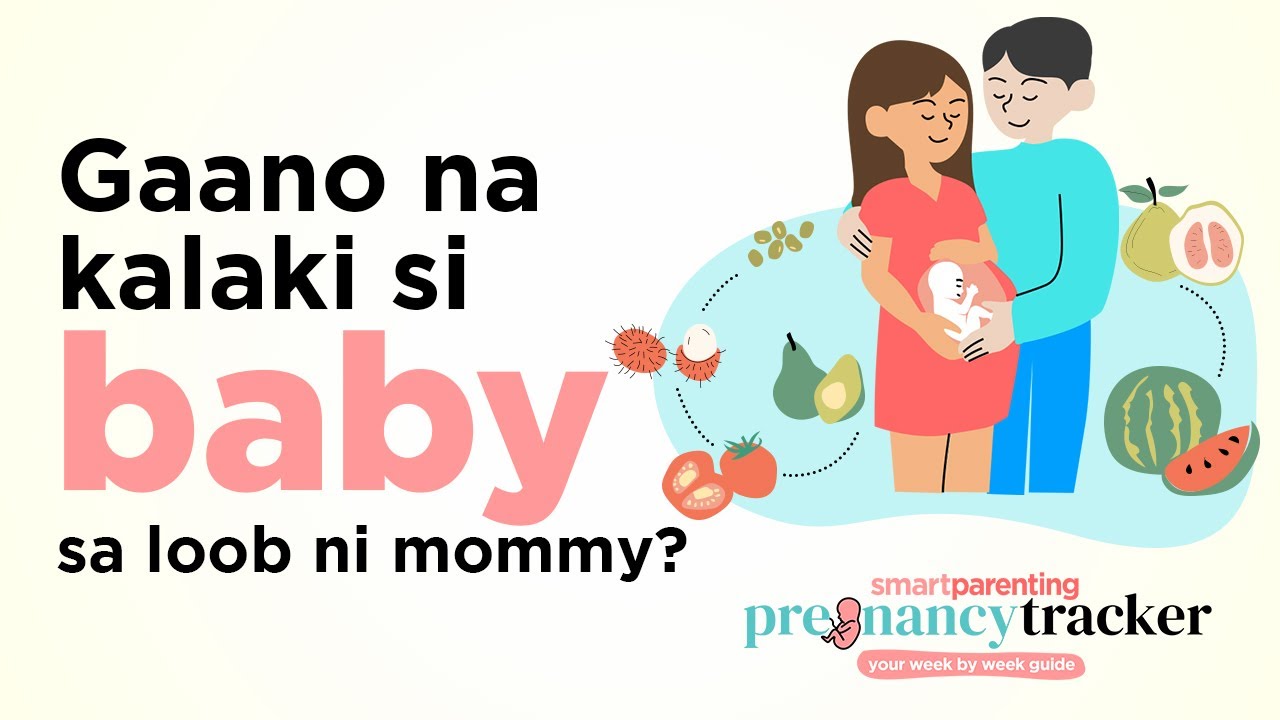 Gaano Kalaki Si Baby Sa Loob Ni Mommy | Pregnancy Week By Week | Smart Parenting Pregnancy Tracker