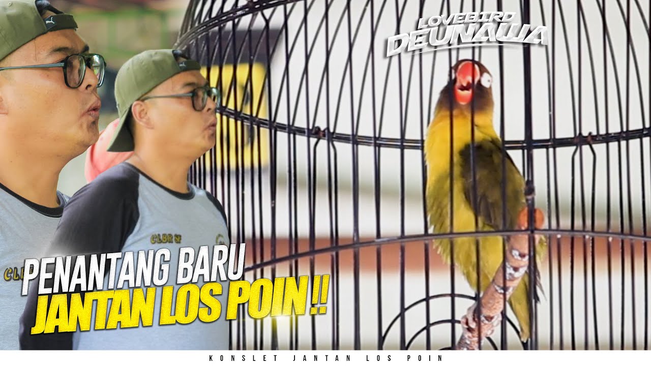 PENANTANG DARI KOTA LEMBANG‼️SIKAT TERUS TIKET UTAMA TIAP EVENT