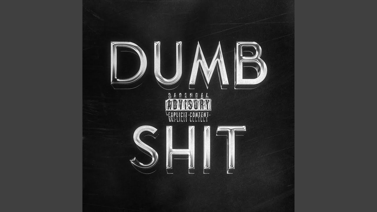 DUMBSHIT