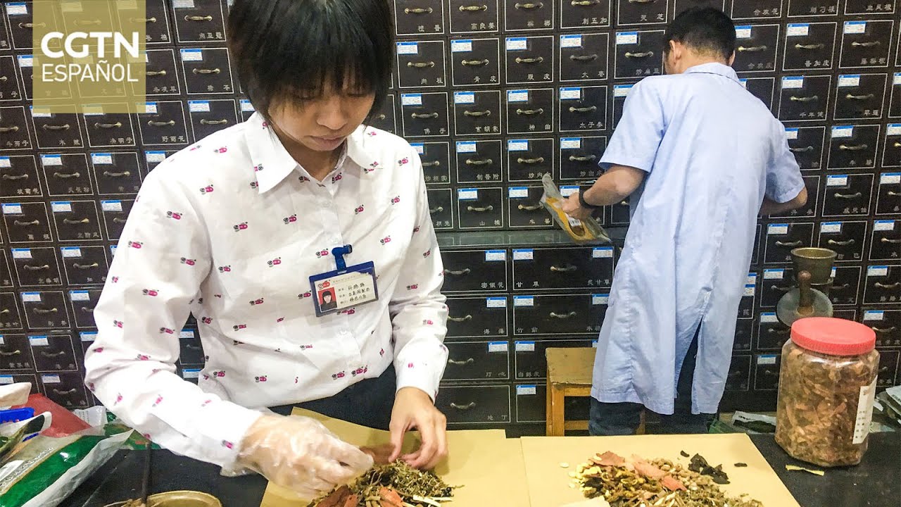 Chilenos acuden a la medicina tradicional china para tratar enfermedades