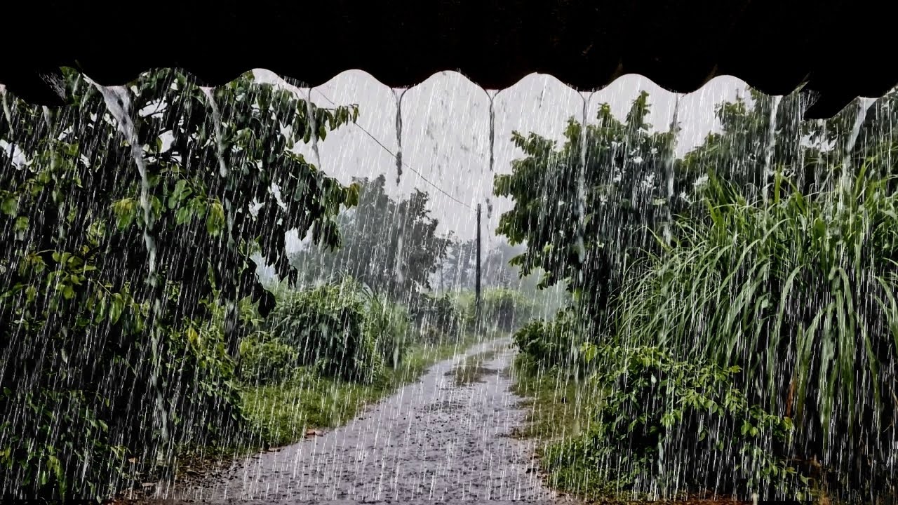 Extreme Heavy Rain 🌧️ | Rain Sound Therapy for Deep Mental Calm and Night Relaxation