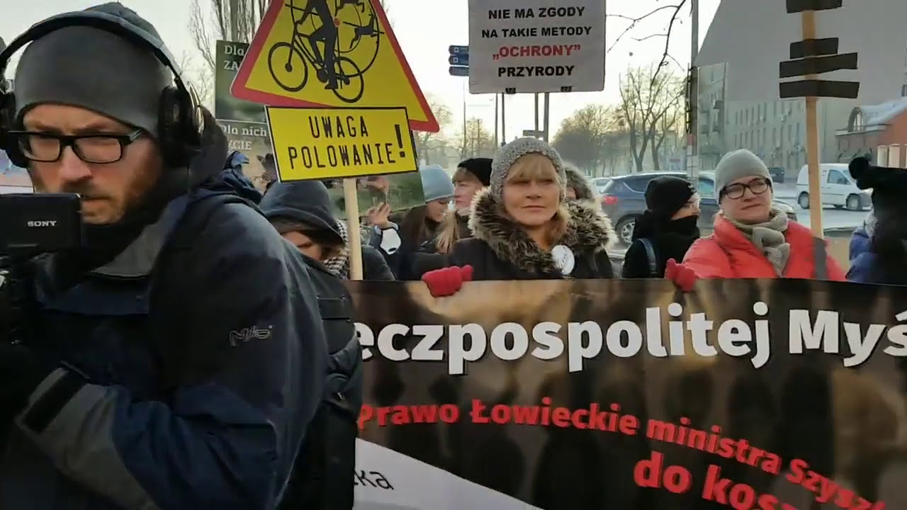 Protest 