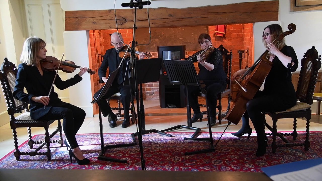 Make you Feel my Love - Dylan/Adele - Capriccio Quartet arr Helen Marple-Horvat