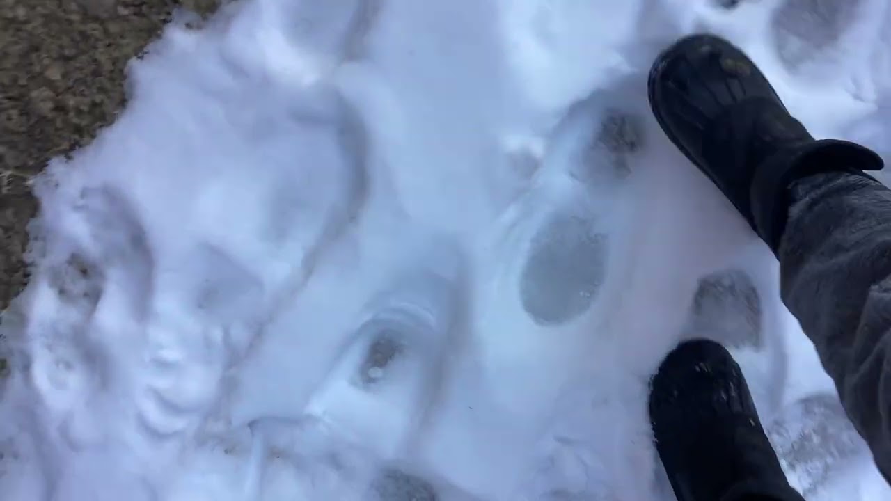 Ice age being broken