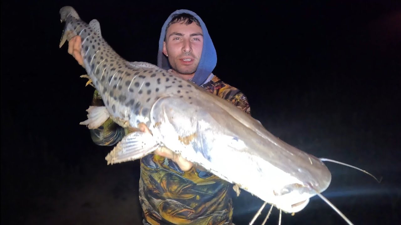 Tremenda pesca con amigos,  lugar magico