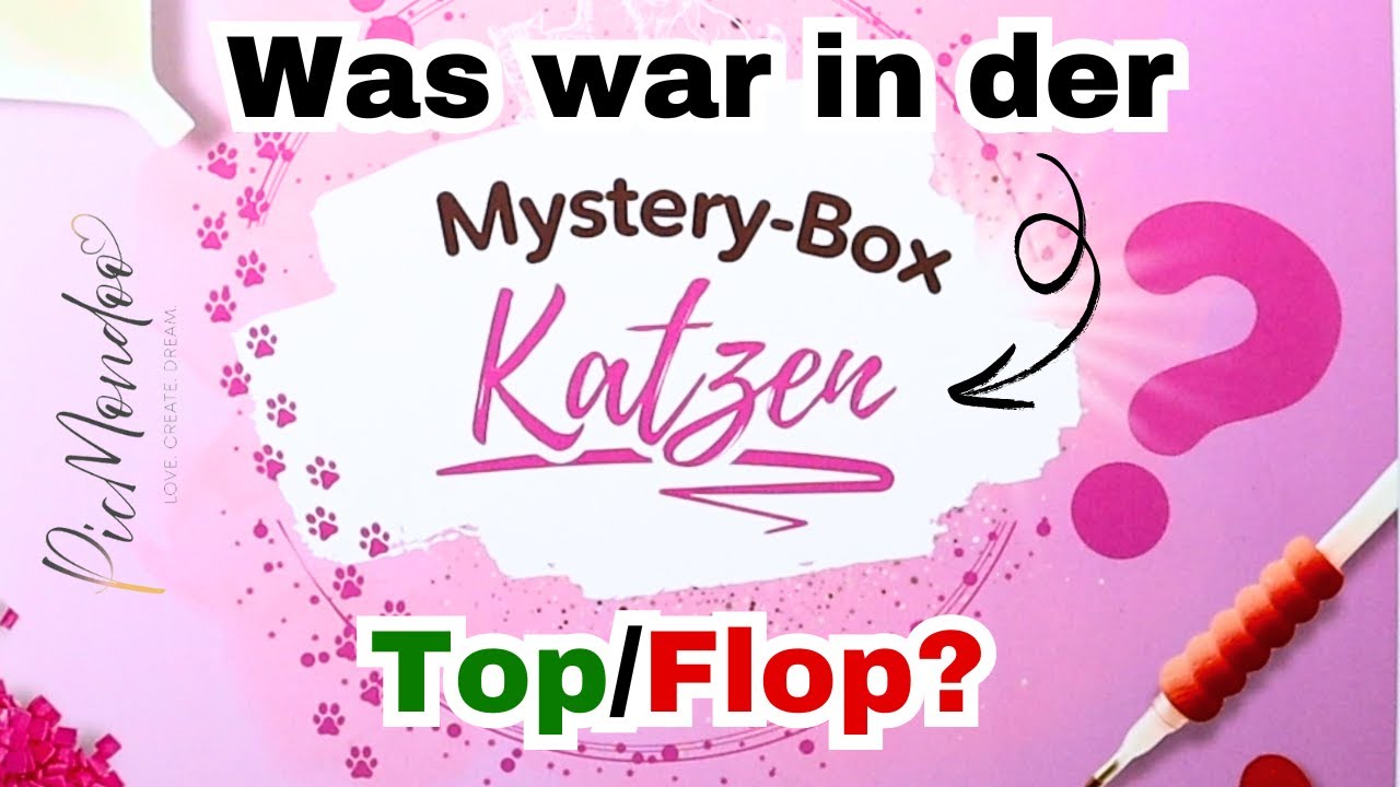 Unboxing der Katzen Mystery Box von PICMONDOO || meine erste Picmondoo Bestellung || Top oder Flop?