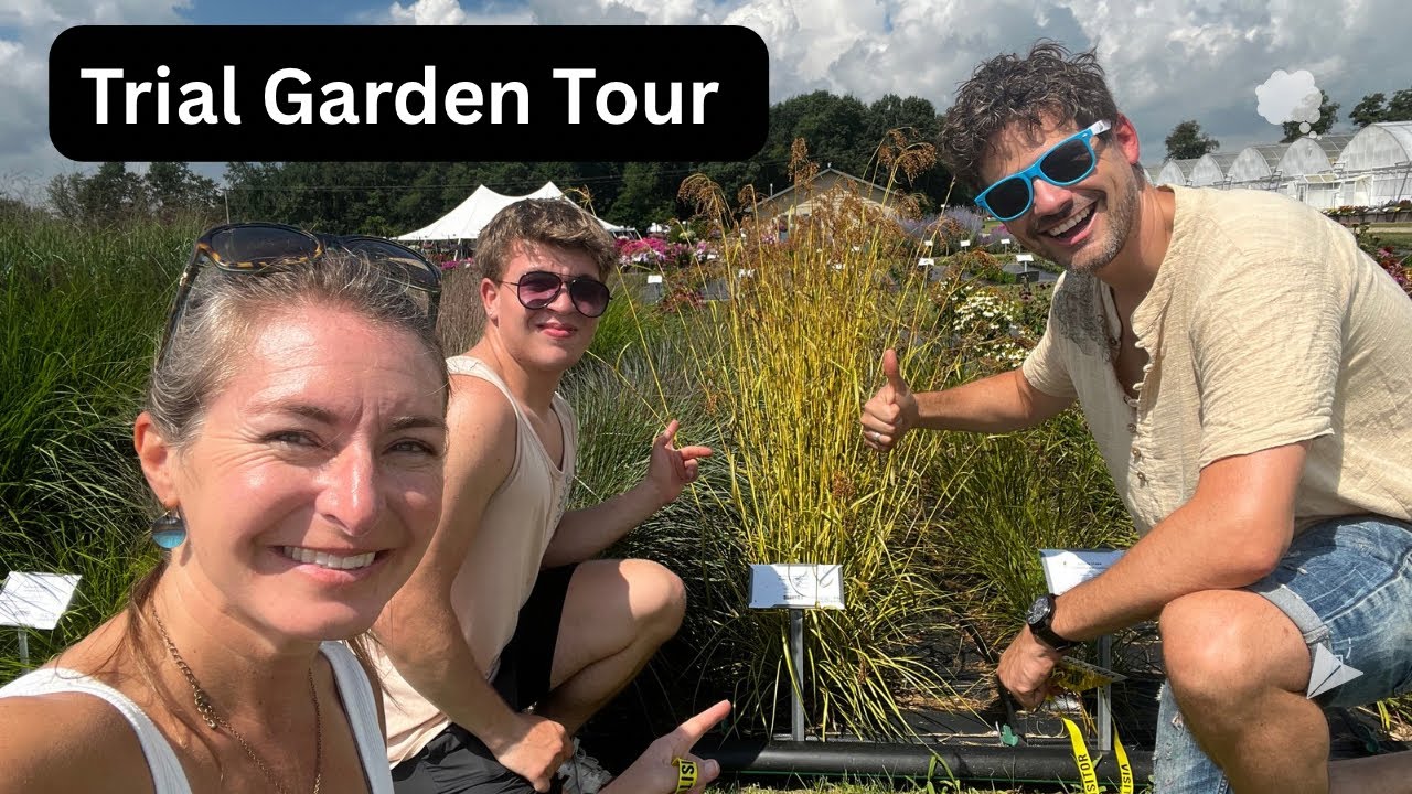 Cut Flower Trial Garden 