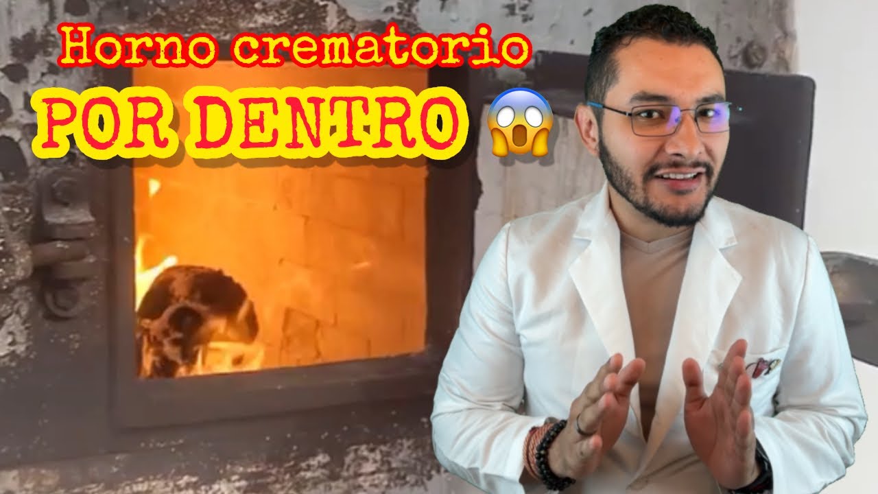 Así funciona un HORNO CREMATORIO 🔥