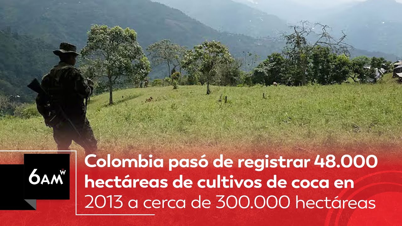 Colombia pasó de registrar 48 mil hectáreas de cultivos de c0c4 en 2013 a cerca de 300 mil | 6AM W