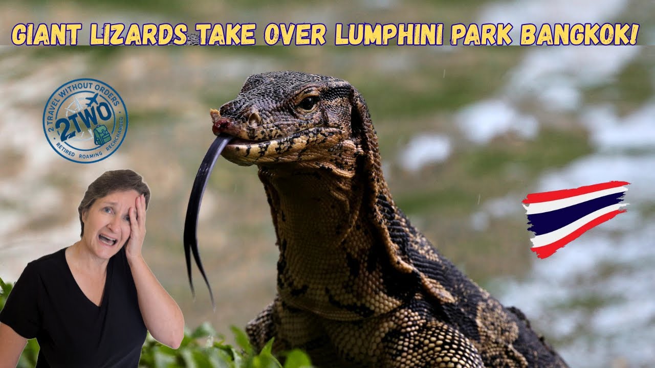 MONITOR Lizards Take Over Lumphini Park in Bangkok Thailand!