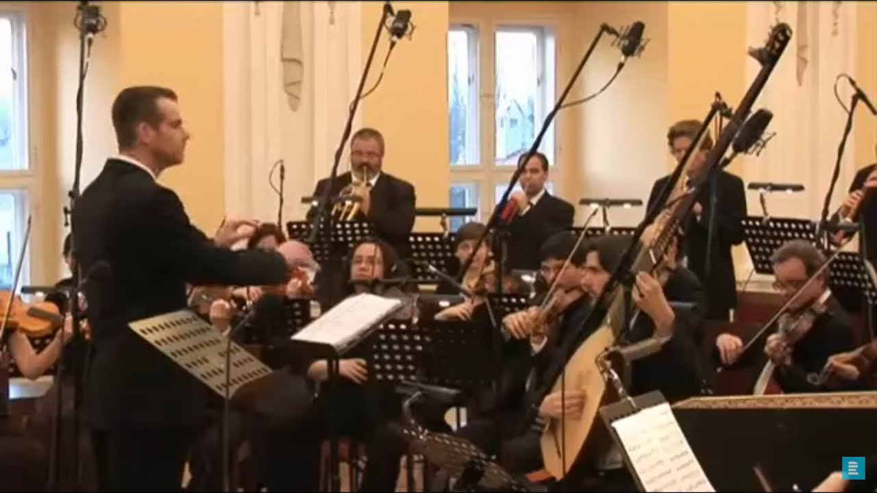 Zelenka - Serenata il Diamante, ZWV 177. Ensemble In&eacute;gal, live performance, 26th April 2012