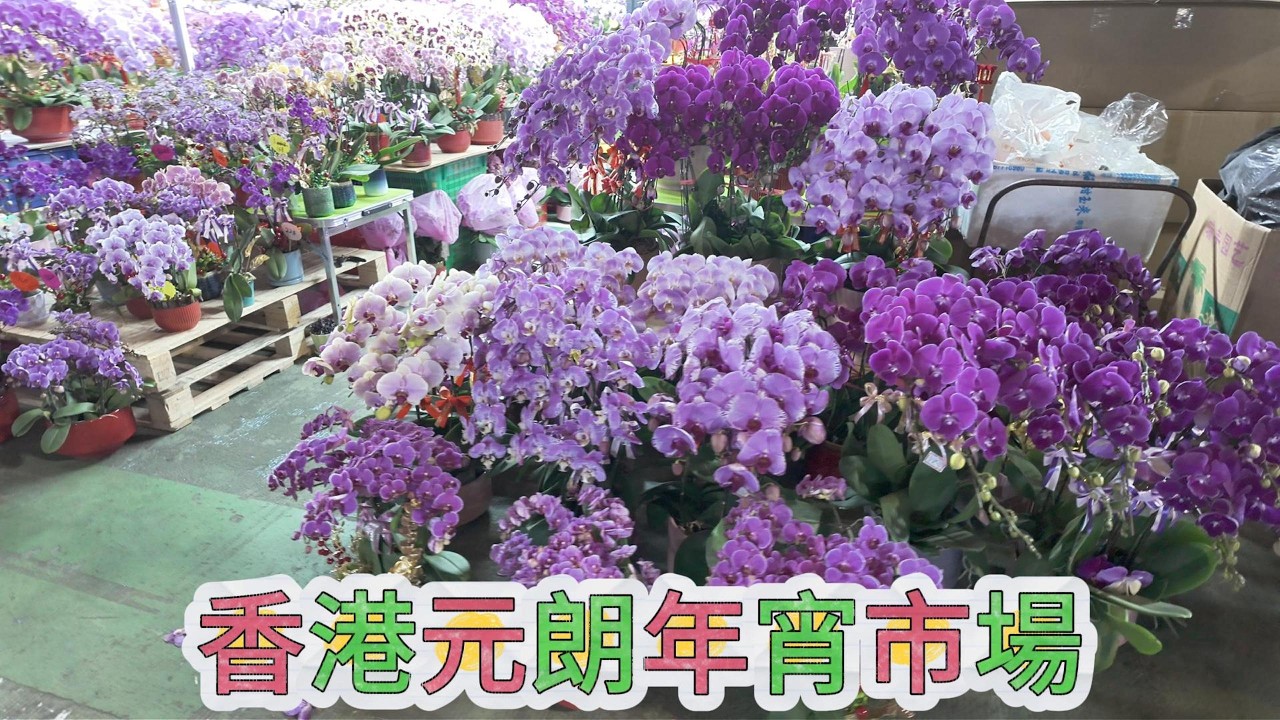 香港元朗年宵市場  #香港 #hongkong #元朗年宵市場
