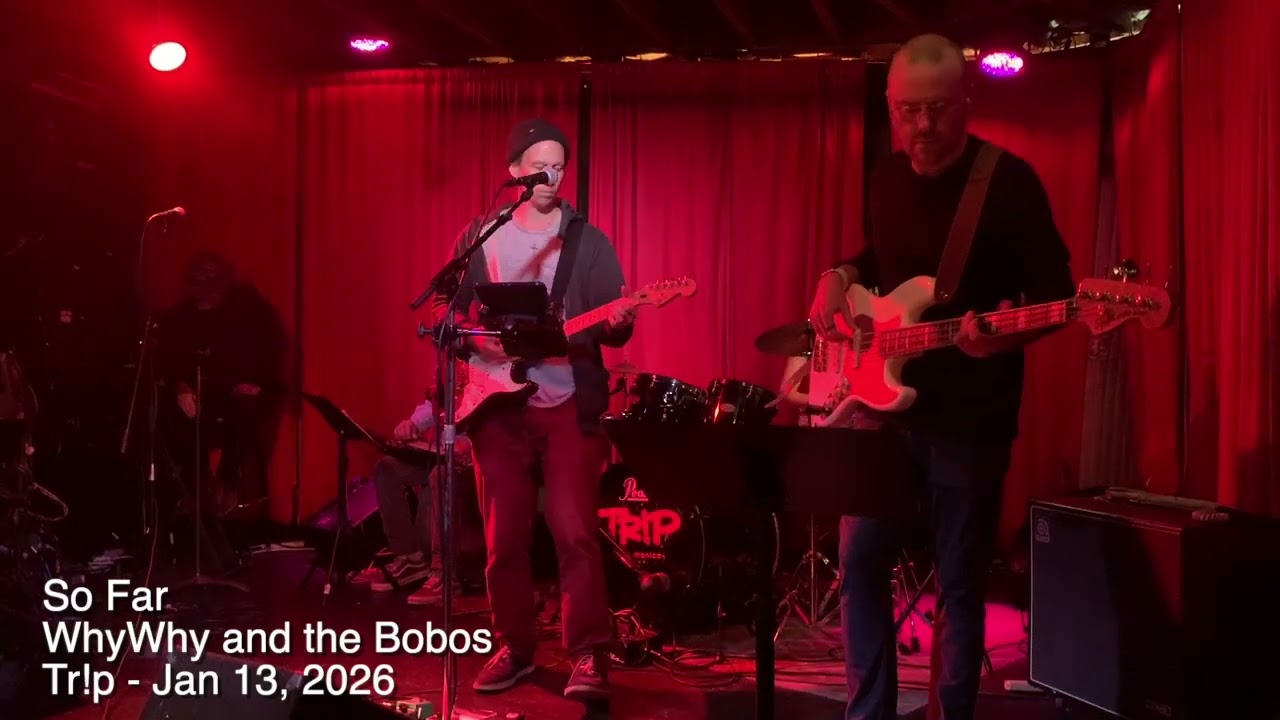 WhyWhy and the Bobos - So Far