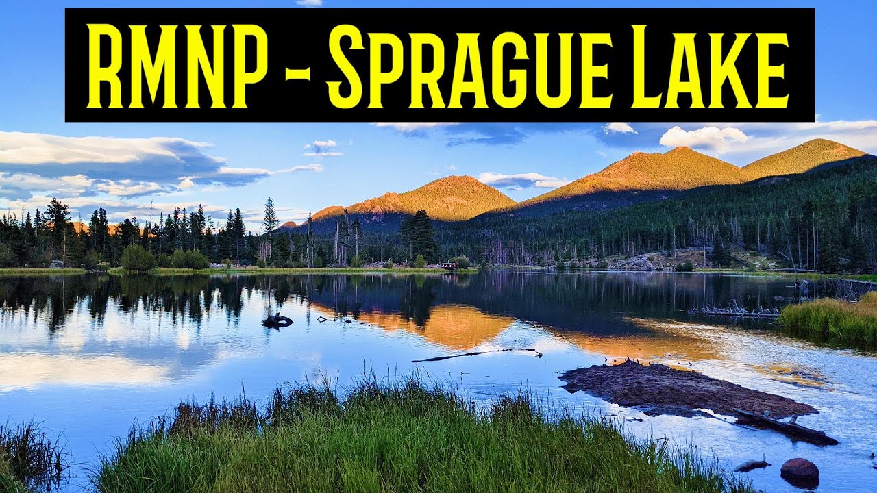 Rocky Mountain National Park | Sprague Lake | Moose | Fishing | View | Travel Tips from a Local