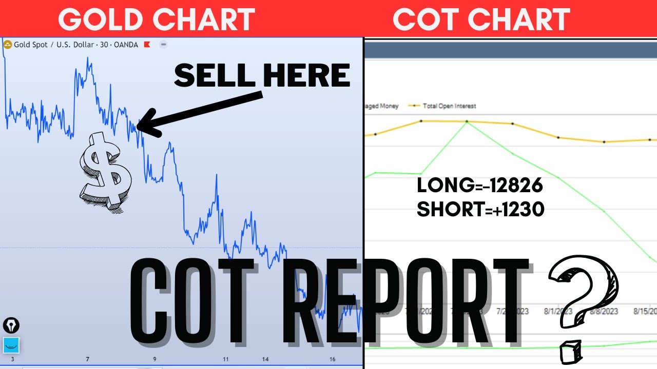 How to use COT Report in Forex Trading | read it like a PRO #xauusd #forex #gold