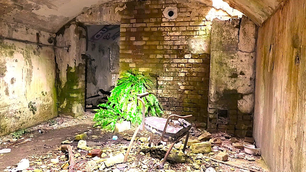 FOTOALBEN  im VERLASSENEN BUNKER! Die Natur holt sich alles zurück! #LostPlace #Urbex #Bunker