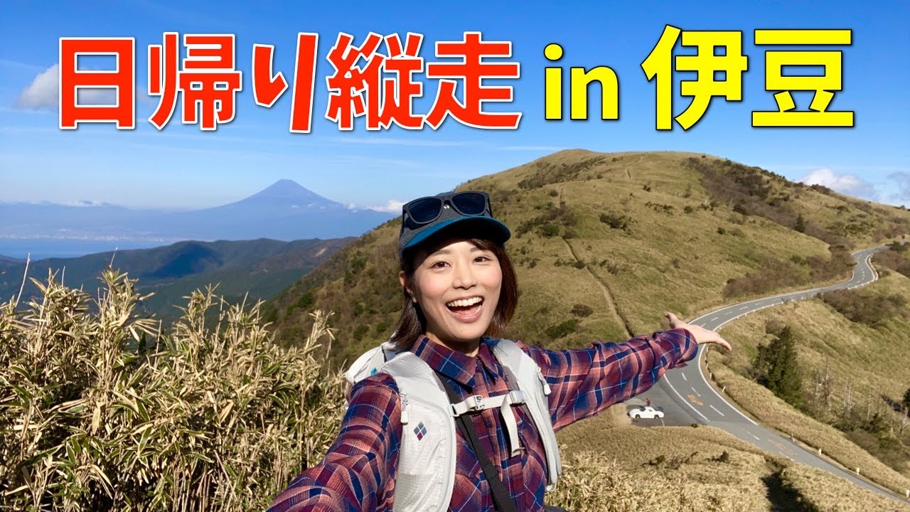 【日帰り登山】伊豆で達磨山・金冠山を縦走！太平洋の絶景と修善寺温泉を満喫！